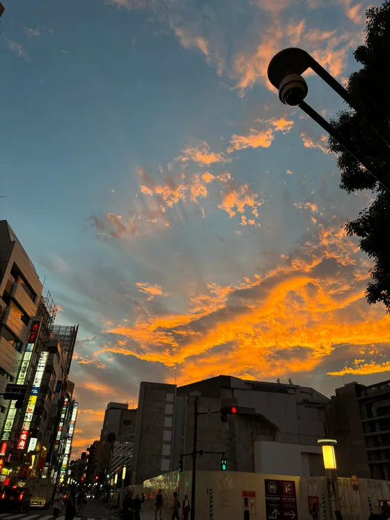 Shibuya